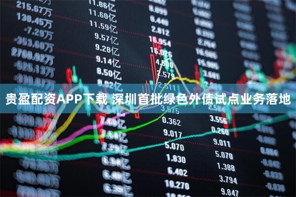 贵盈配资APP下载 深圳首批绿色外债试点业务落地