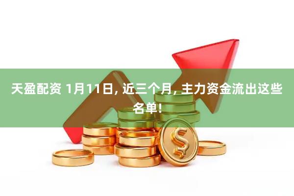 天盈配资 1月11日, 近三个月, 主力资金流出这些名单!